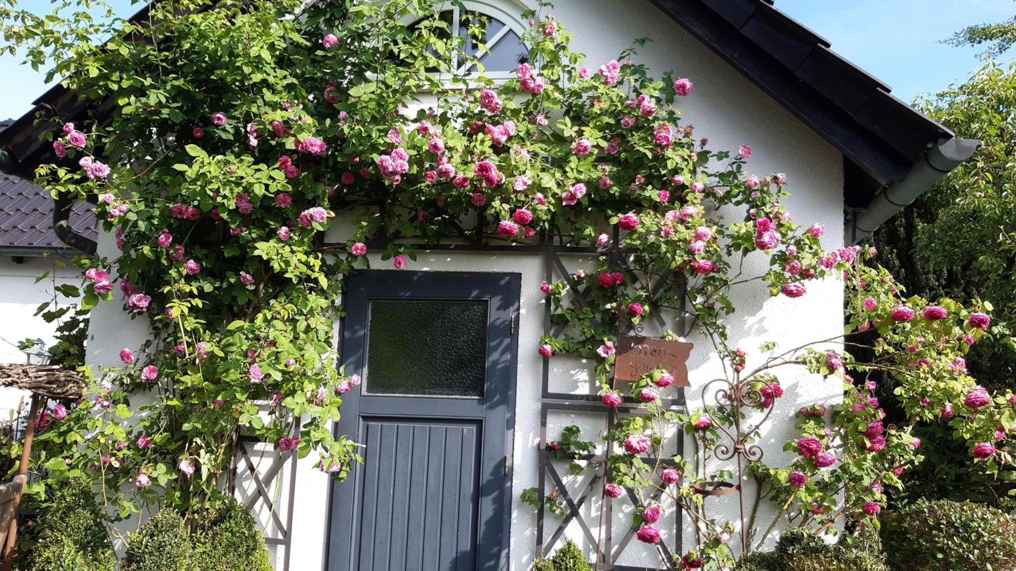 Tina'S Home Gutersloh Luaran gambar